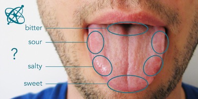 Sciensation hands-on experiment for school: The myth of the tongue map ( biology, senses, taste, tongue, critical thinking)