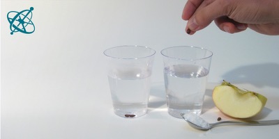 Sciensation hands-on experiment for school: Floating seeds ( chemistry, density, solution)