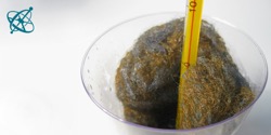 Image of experiment