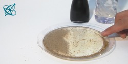 Image of experiment