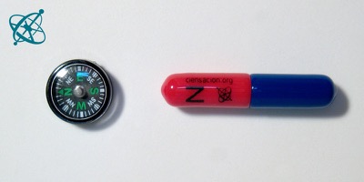 Sciensation hands-on experiment for school: Where is the Earth's magnetic north pole? ( physics, geography, magnetism, magnetic field, critical thinking)